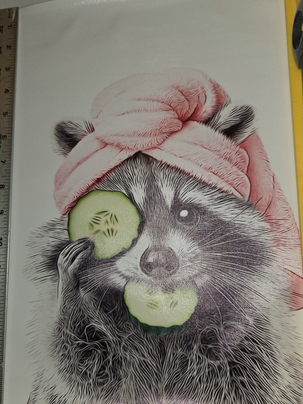 Set Of 3- Raccoon Bathroom Wall Art Print On Canvas, Pink Detail - Picture 4 of 11